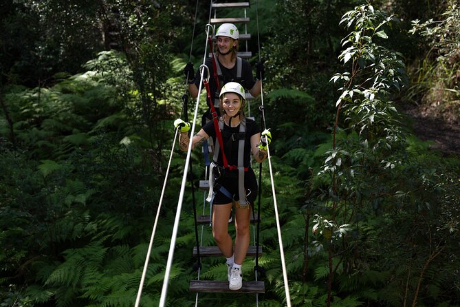 Tamborine Mountain TreeTop Challenge Adventure Park - Key things to know before you go