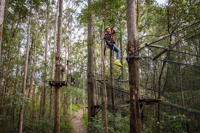 Tamborine Mountain TreeTop Challenge Adventure Park - Value on the mountain: what $50.21 buys you