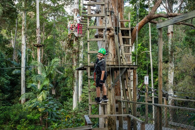 Tamborine Mountain TreeTop Challenge Adventure Park - Who this is best for (and who may want to pass)