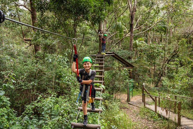 Tamborine Mountain: TreeTop Challenge Adventure Park - The Course Lineup: Green to Black Without Guesswork