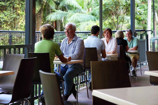 Tamborine Rainforest Skywalk + Hop on Hop off Bus - Group size, pace, and the one caution I’d actually take
