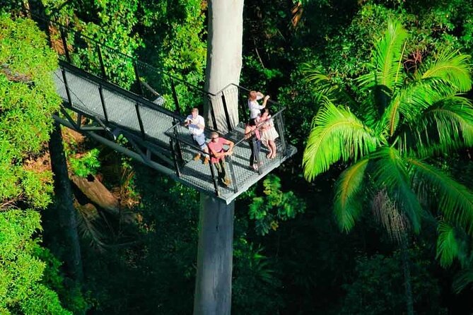 Tamborine Rainforest Skywalk + Hop on Hop off Bus - Tamborine Rainforest Skywalk: the walk you’ll actually remember