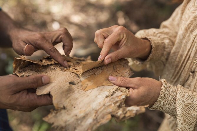 Taribelang Bunda Cultural Tours - Hummock Lookout and Yarn Time: bullroarer sounds and boundaries