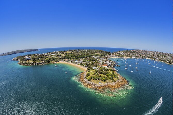 Taronga Zoo + Ferry Return Ticket - Taronga Zoo: What 4 Hours Actually Means on the Ground