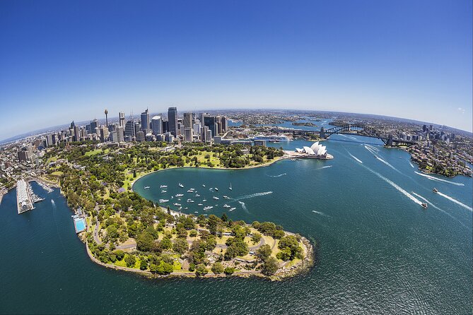 Taronga Zoo + Ferry Return Ticket - Getting the Timing Right: Shuttle, Ferry, and Staying Calm