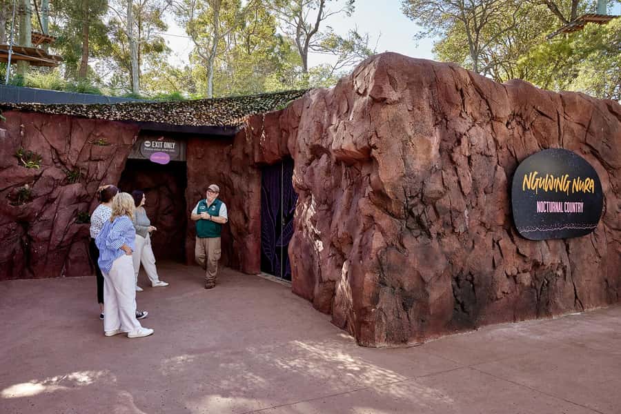 Taronga Zoo Sydney Wild Australia Experience - Reserved-area time, feeding chances, and what to expect about contact