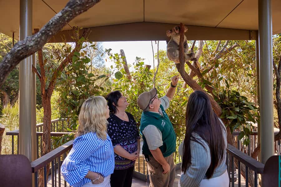 Taronga Zoo Sydney Wild Australia Experience - What you’ll actually see in 2 hours (and how to plan the rest)