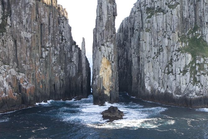 Tasman Island Cruises and Port Arthur Historic Site Day Tour from Hobart - The 3-hour Tasman National Park eco-cruise: cliffs, caves, and wildlife chances