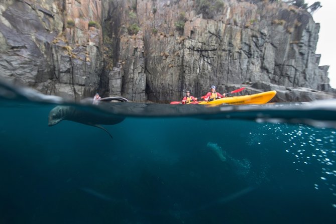 Tasman Peninsula full day kayaking tour - From Cambridge to Tasman National Park: the morning setup