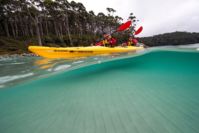 Tasman Peninsula full day kayaking tour - Lunch in a deserted cove: when refuel turns the day better