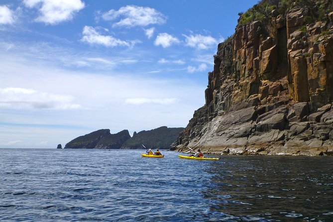 Tasman Peninsula full day kayaking tour - Paddling over a semi-submerged shipwreck