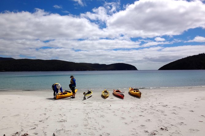 Tasman Peninsula full day kayaking tour - Price and value: what $129 buys you on this long day