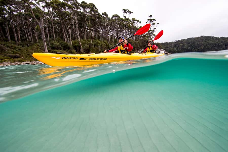 Tasman Peninsula Full-Day Sea Kayak Excursion - Key Things to Know Before You Go
