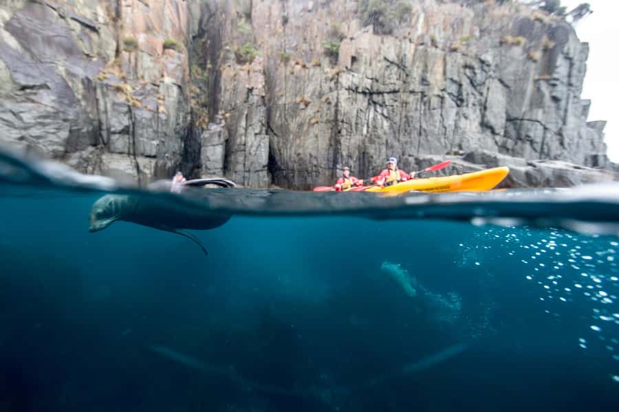 Tasman Peninsula Full-Day Sea Kayak Excursion - Totem Pole and the Candlestick: Not Just Photo Stops