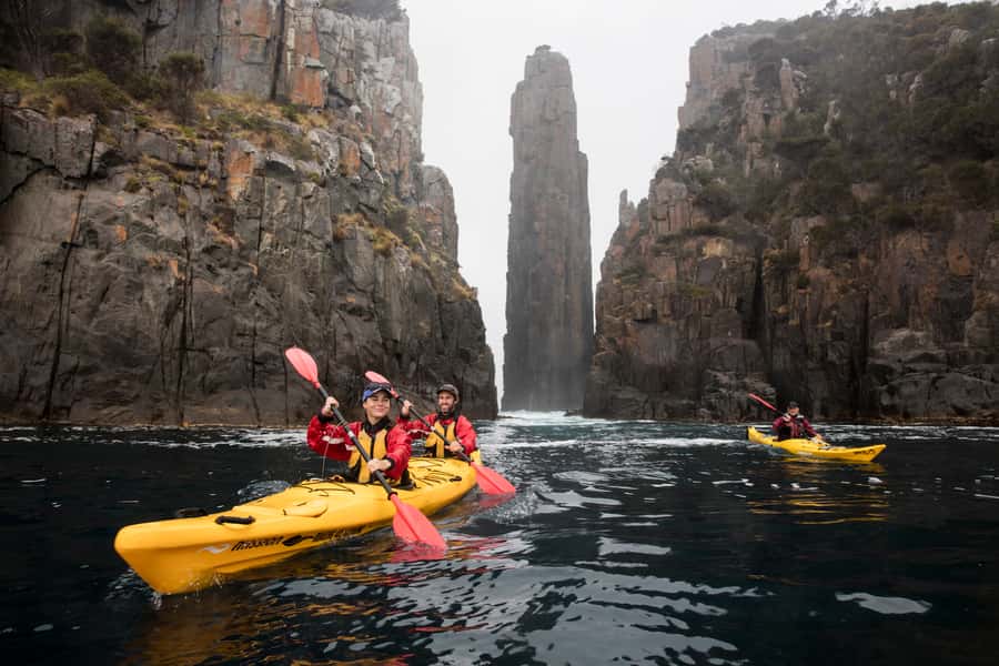 Tasman Peninsula Full-Day Sea Kayak Excursion - Sea Caves, a Semi-Submerged Shipwreck, and Wildlife Scanning