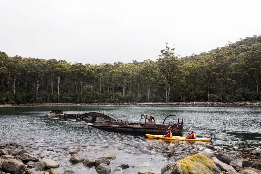 Tasman Peninsula Full-Day Sea Kayak Excursion - Fortescue Bay to Cape Hauy: Paddling Under 200-Metre Sea Cliffs