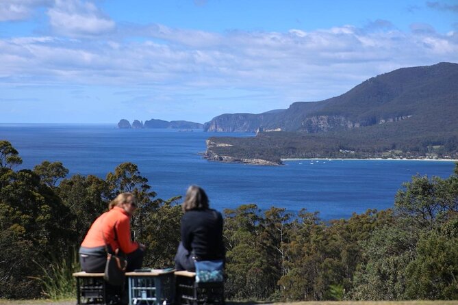 Tasman Peninsula Small-Group Guided Tour From Hobart - A day built around cliff views, ancient stone, and a guide’s story