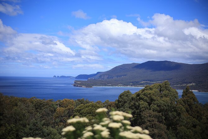 Tasman Peninsula Small-Group Guided Tour From Hobart - Getting from Hobart to the Tasman Peninsula (and why the van time matters)