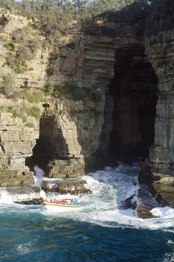 Tasman Peninsula Tour, Cruise & Port Arthur Historic Site - The 3-Hour Wilderness Cruise: Cliffs, Caves, Waterfalls, and Wildlife