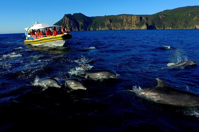 Tasman Peninsula Wilderness Cruise from Port Arthur - Who this cruise is best for (and who should reconsider)