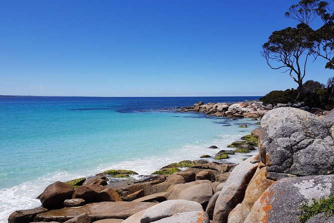 Tasmania 5 Day East Coast Tour - Key Things I’d Book This For