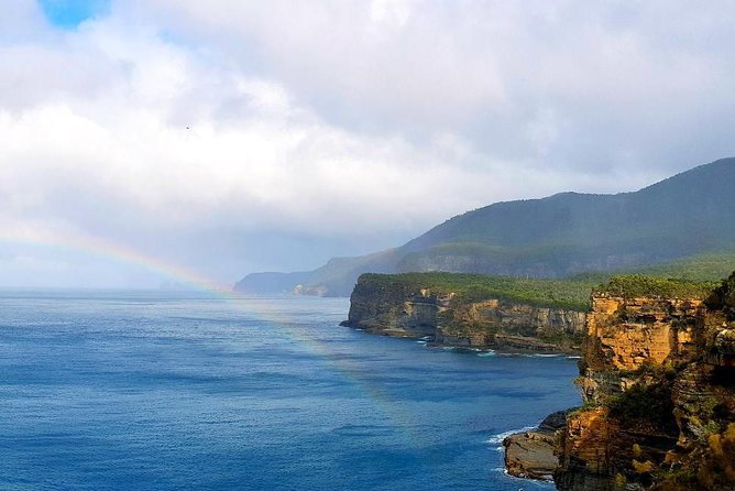 Tasmania 5 Day East Coast Tour - Day 4: Bay of Fires, Oyster Farm Tastes, and a Sanctuary Day
