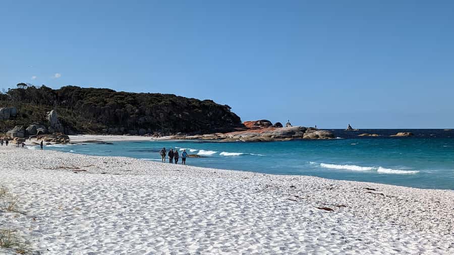 Tasmania: 6-Day Comfort Tour for Wilderness and Wildlife - Day 4: Cataract Gorge then Bay of Fires white sand and rust boulders