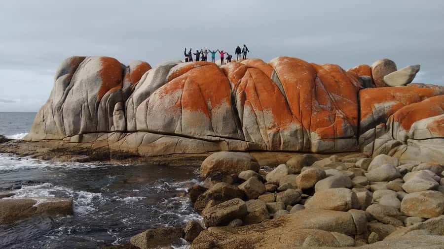 Tasmania: 7-Day West to East Tour - Key takeaways before you go