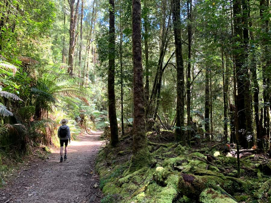 Tasmania: 7-Day West to East Tour - Day 7: Port Arthur and the Tasman Peninsula’s convict coast