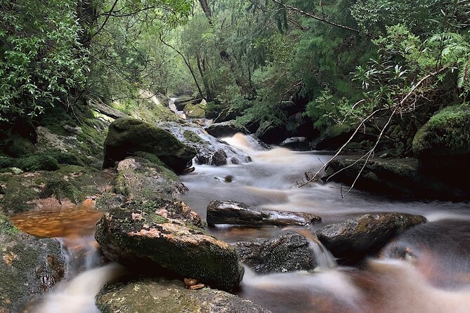 Tasmania 8 Day - Tour in Circle - Day 3: Port Arthur with a guided 3 hours, plus Maria Island and Spiky Beach