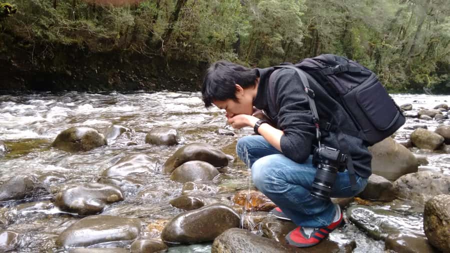 Tasmania: Wilderness and Wildlife Guided 6-Day Tour - Accommodation style: motels vs hostels, and why it matters