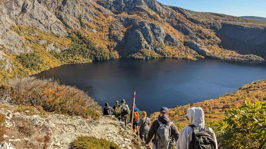 Tasmania: Wilderness and Wildlife Guided 6-Day Tour - Strahan’s wild west coast: dunes, rainforest walking, and fresh ocean air