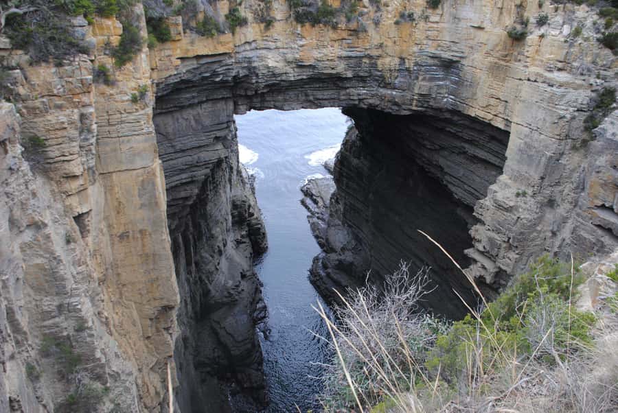 Tasmania: Wilderness and Wildlife Guided 6-Day Tour - Cradle Mountain: Dove Lake circuits, Marion’s Lookout, and wombat checks
