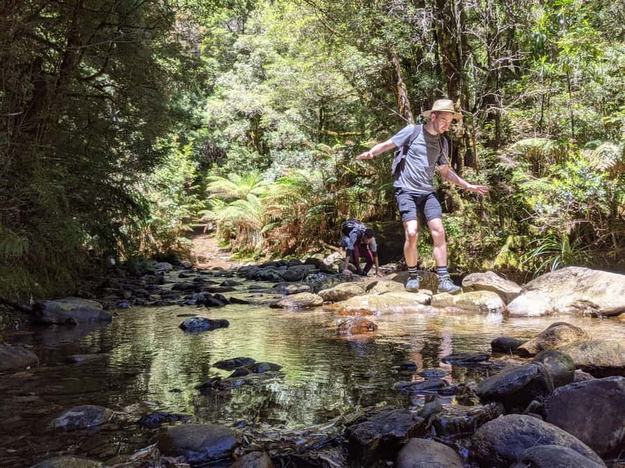 Tasmania: Wilderness and Wildlife Guided 6-Day Tour - What the guided walks really feel like day to day