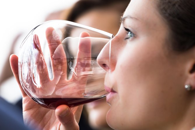 Tasmanian Premium Wine Tour with Tasmanian Cheese Platter - A Small-Group Southern Wine Day From Hobart