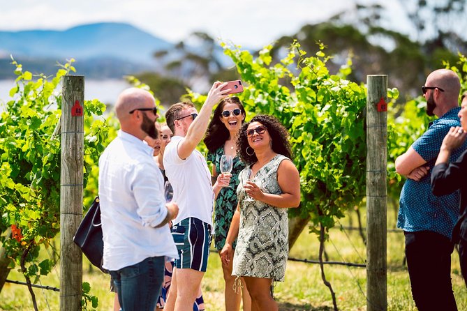 Tasmanian Premium Wine Tour with Tasmanian Cheese Platter - Craigow Winery and Dr Barry: when the stories go deeper