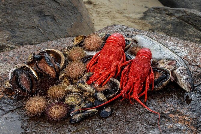 Tasmanian Seafood Gourmet Full-Day Cruise Including Lunch - Franklin Wharf To Bruny Island: the day’s easy rhythm