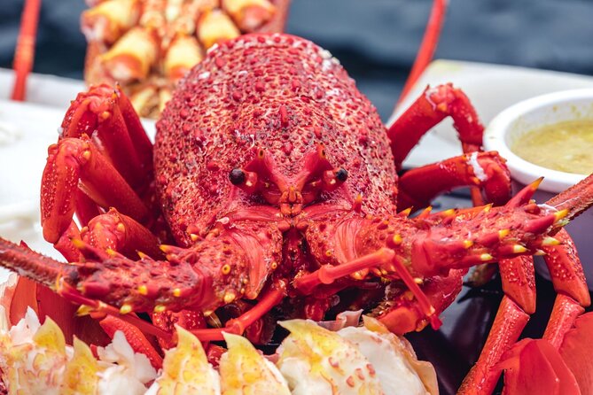 Tasmanian Seafood Gourmet Full-Day Cruise Including Lunch - Small-group hosting: the difference between a tour and a day out