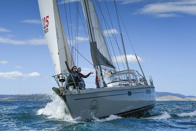 Tasmanian Seafood Gourmet Full-Day Cruise Including Lunch - Value check: $502.07 per person, and who it’s for