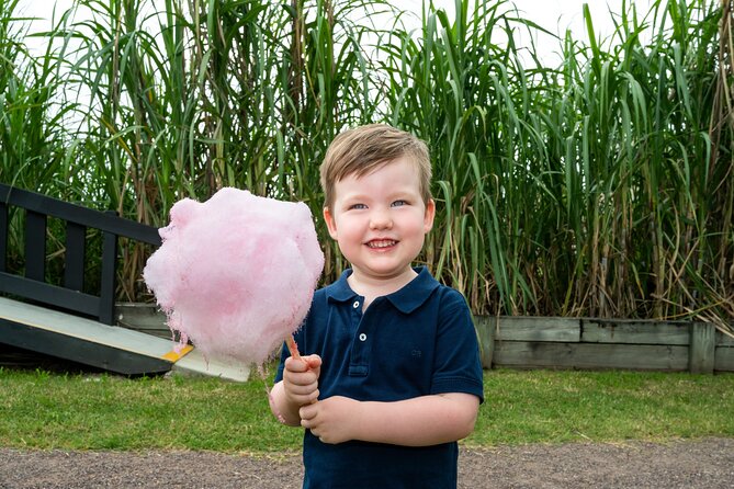 Taste of the Tropics Tour - Sarina Sugar Shed in Mackay: why this 1-hour tour works