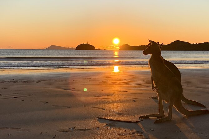 Taste of the Tropics Tour - Practicalities: tickets, time, and how to plan around Mackay heat