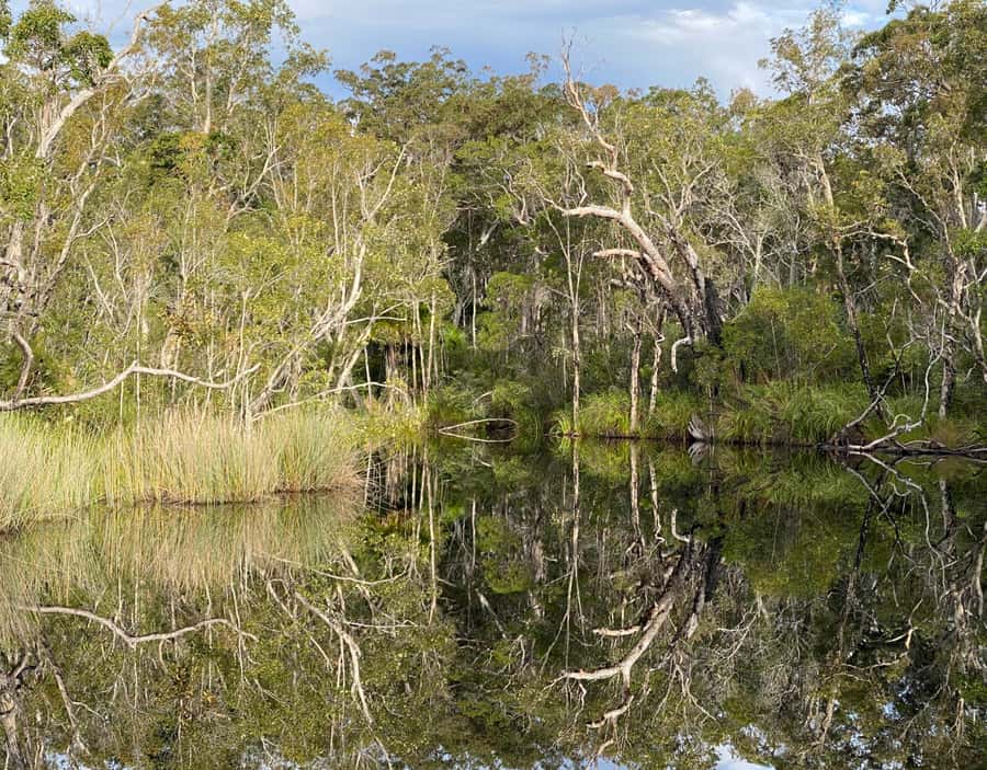 Tasty Noosa Everglades - Craft beer and wine inclusions: what you get and how to plan your taste