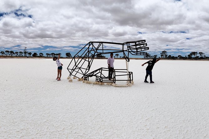 The Big Wave Rock Private Day Tour - Tin Horse Highway: the 15 km dose of farm-art weirdness