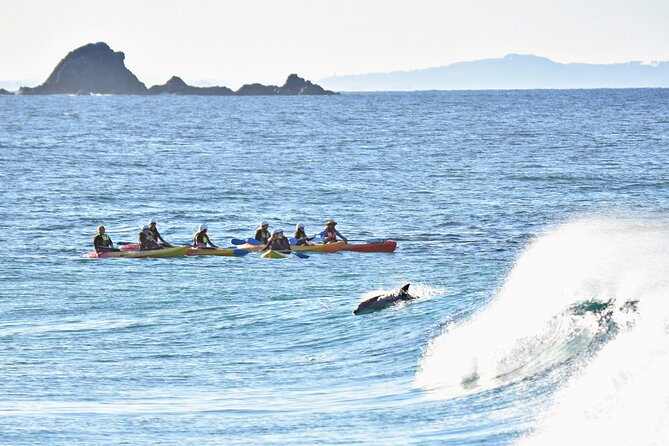 The Byron Bay Sea Kayak Tour - Entering Byron Bay Ocean Mode from Clarkes Beach
