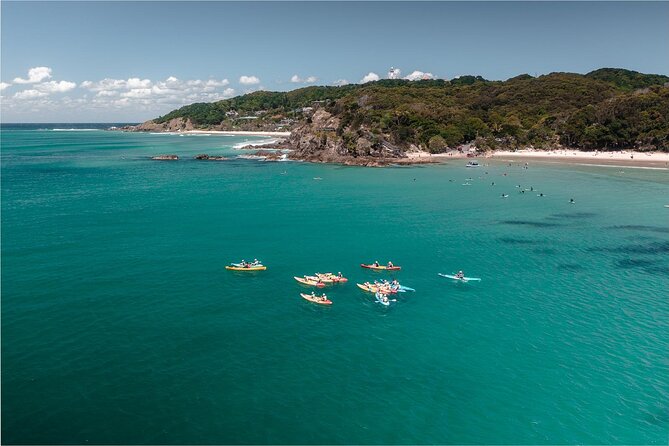 The Byron Bay Sea Kayak Tour - Stop 3: Cape Byron Lighthouse Area and the Wildlife Search