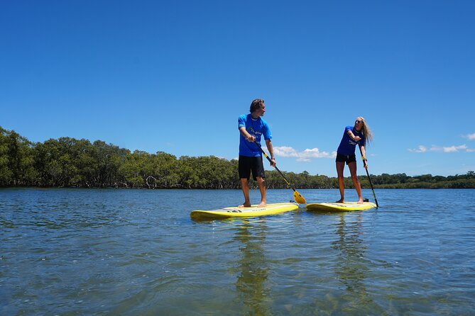 The Byron Bay Sea Kayak Tour - Weather Reality: Rain, Wind, Stingers, and Wetsuits