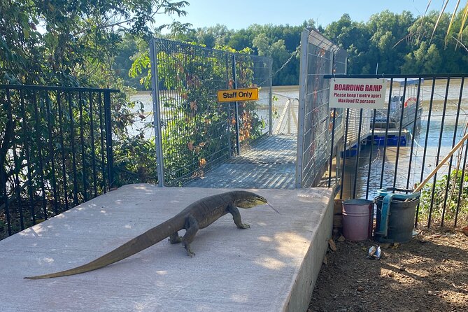 The Croc Bus to the Famous Jumping Crocodile Cruise - Why the Croc Bus format works so well in Darwin