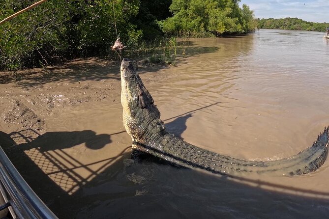The Croc Bus to the Famous Jumping Crocodile Cruise - Fogg Dam Conservation Reserve: wildlife spotting beyond the crocs