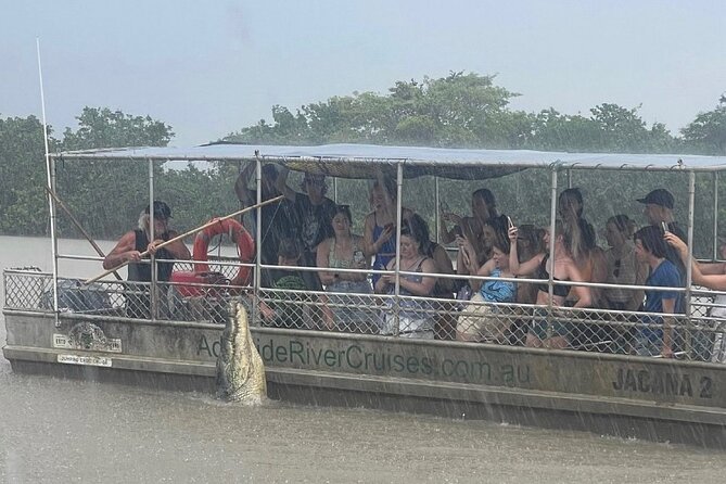 The Croc Bus to the Famous Jumping Crocodile Cruise - Timing, weather, and how to plan your half-day
