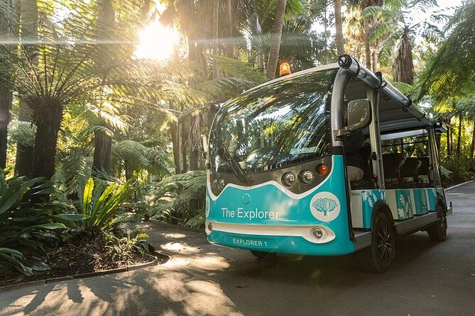 The Explorer - Melbourne Gardens - Why a 30-minute minibus tour works in Melbourne